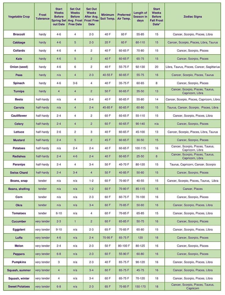 Planting guides for different vegetables