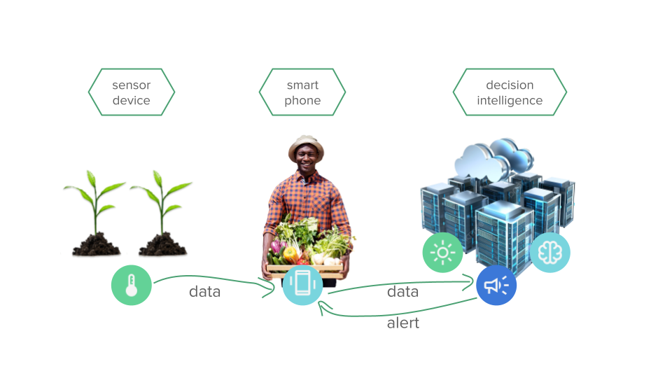 A simple installation where a single device monitors soil moisture for a crop.